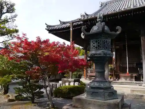 穴太寺の塔