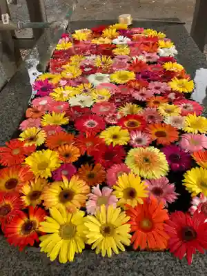 長沼八幡宮(栃木県)