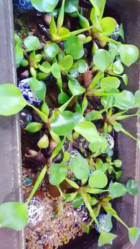 米川八幡神社(宮城県)