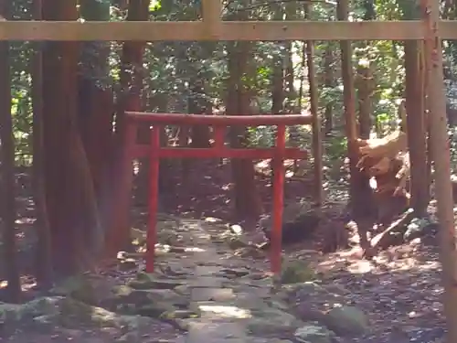 鹿児島神宮の鳥居