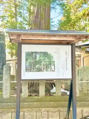 八坂神社の{uncategorized: "未分類", other: "その他", undefined: "問題あり", building: "その他建物", grave: "お墓", sacred_gate: "鳥居", guardian: "狛犬", statue: "像", buddha: "仏像", history: "歴史", nature: "自然", garden: "庭園", animal: "動物", pagoda: "塔", temizu: "手水舎", mountain_gate: "山門・神門", sanctuary: "本殿・本堂", subordinate: "末社・摂社", art: "芸術", scenery: "景色", jizo: "地蔵", ema: "絵馬", goshuin: "御朱印", omikuji: "おみくじ", items: "授与品その他", amulet: "お守り", goshuincho: "御朱印帳", eats: "食事", festival: "お祭り", votive_dance: "神楽", shichigosan: "七五三参", wedding: "結婚式", experience: "体験その他", initially: "初詣", around: "周辺", anti_infection: "感染症対策"}