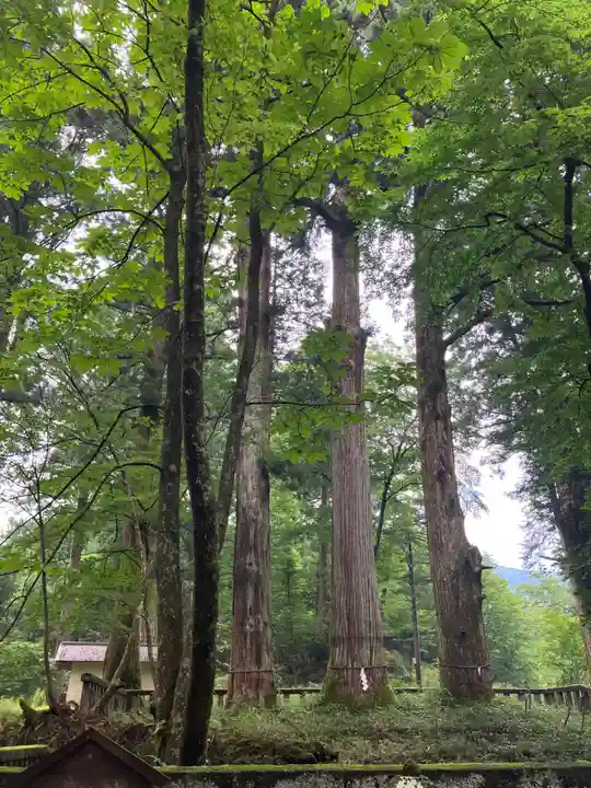 瀧尾神社(日光二荒山神社別宮)(栃木県)