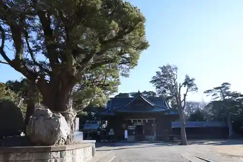 鶴谷八幡宮(千葉県)