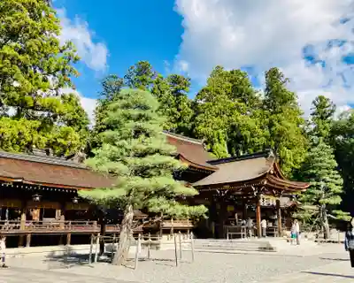 多賀大社の本殿・本堂