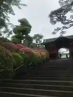 護国寺の山門・神門