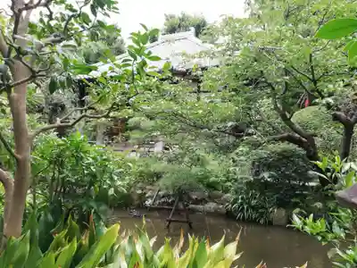 蟠龍寺の庭園