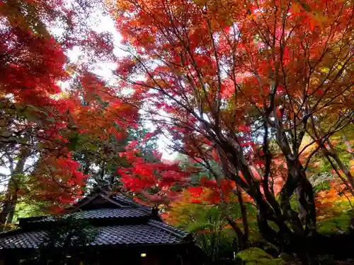 教林坊(滋賀県)