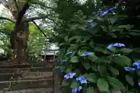 愛宕神社の庭園