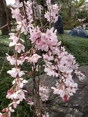 圓照寺(東京都)