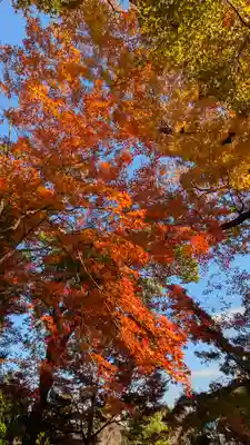 北野天満宮(京都府)