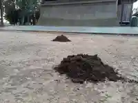 伏木香取神社のその他建物