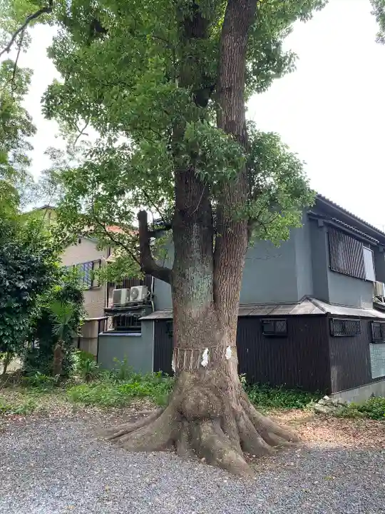 神足神社の自然
