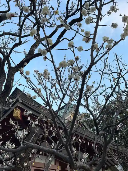 亀戸天神社(東京都)