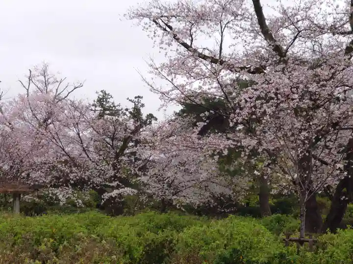 霊犬神社(静岡県)