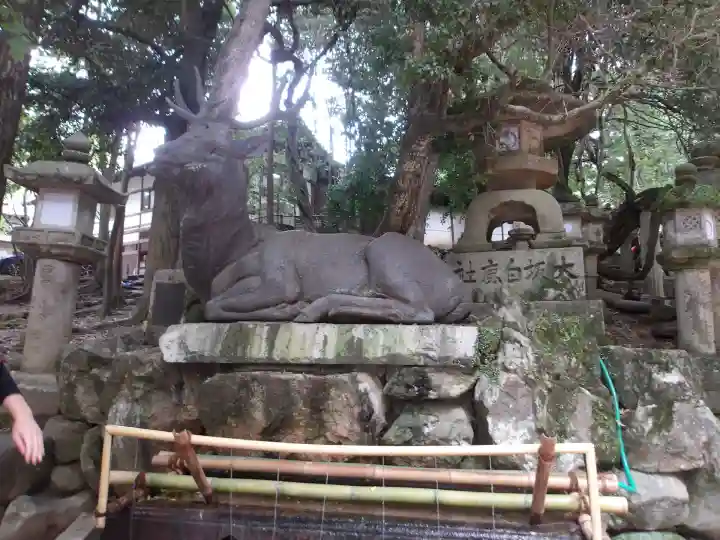 春日大社(奈良県)