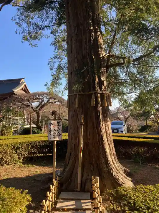 西光寺(神奈川県)