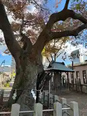 阿邪訶根神社(福島県)