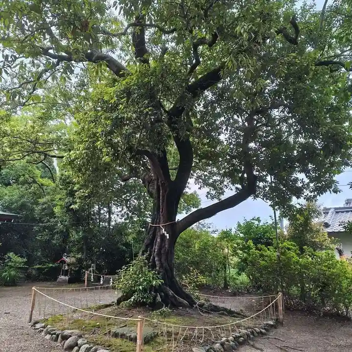 賣太神社(奈良県)