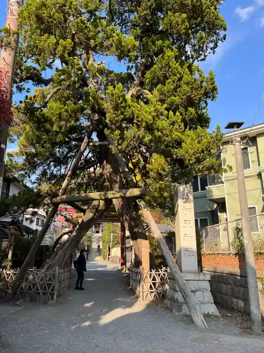 荏柄天神社(神奈川県)