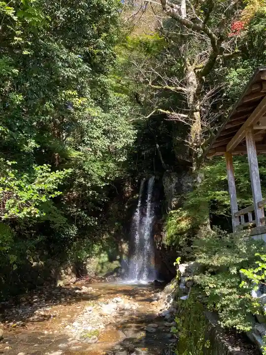 金常寺大石不動院の自然