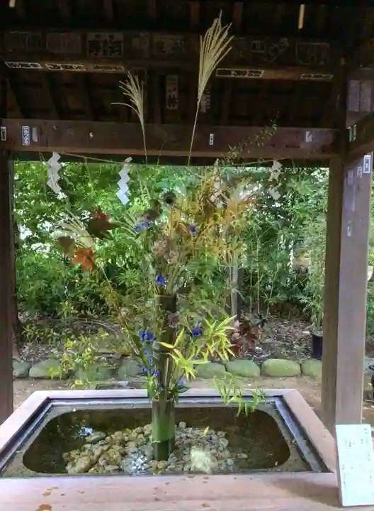赤坂氷川神社(東京都)