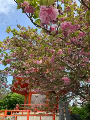 正法寺(京都府)