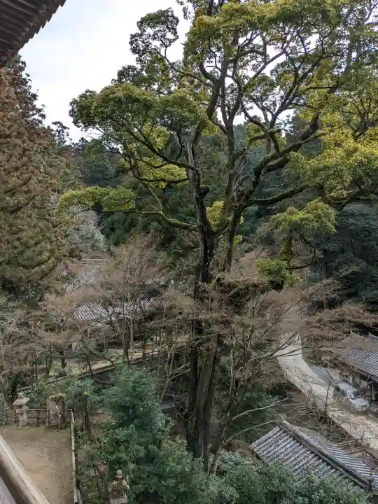 圓教寺(兵庫県)