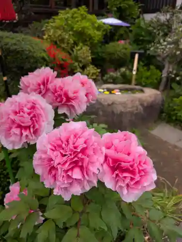 一乗寺(東京都)