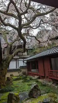 十輪寺(京都府)