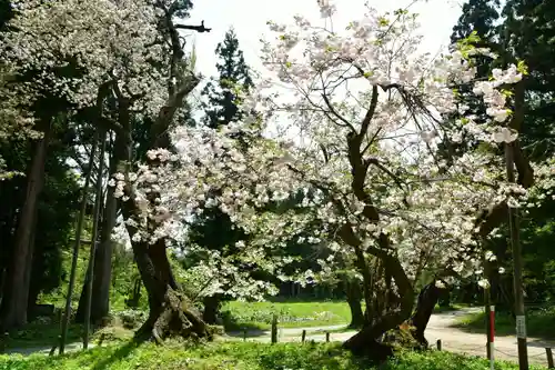 磐椅神社の自然