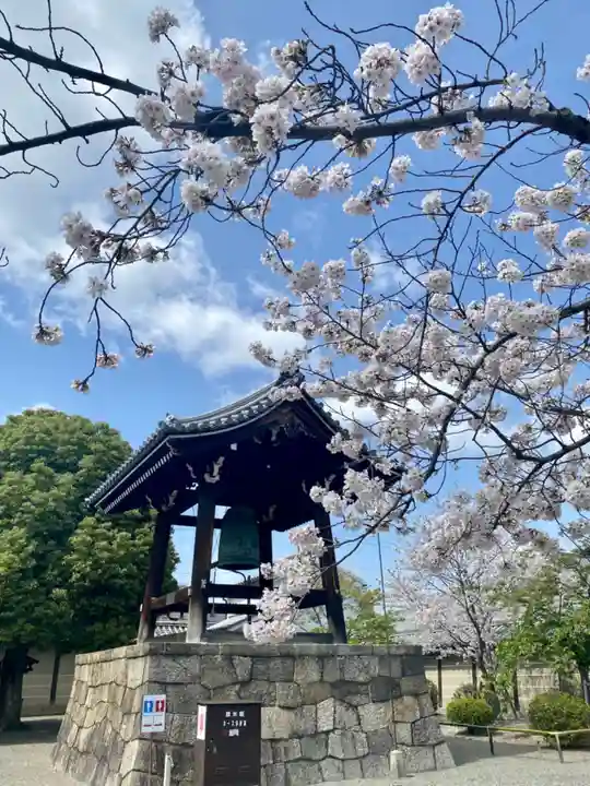 東寺(教王護国寺)(京都府)