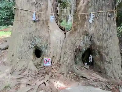 日吉神社の{uncategorized: "未分類", other: "その他", undefined: "問題あり", building: "その他建物", grave: "お墓", sacred_gate: "鳥居", guardian: "狛犬", statue: "像", buddha: "仏像", history: "歴史", nature: "自然", garden: "庭園", animal: "動物", pagoda: "塔", temizu: "手水舎", mountain_gate: "山門・神門", sanctuary: "本殿・本堂", subordinate: "末社・摂社", art: "芸術", scenery: "景色", jizo: "地蔵", ema: "絵馬", goshuin: "御朱印", omikuji: "おみくじ", items: "授与品その他", amulet: "お守り", goshuincho: "御朱印帳", eats: "食事", festival: "お祭り", votive_dance: "神楽", shichigosan: "七五三参", wedding: "結婚式", experience: "体験その他", initially: "初詣", around: "周辺", anti_infection: "感染症対策"}