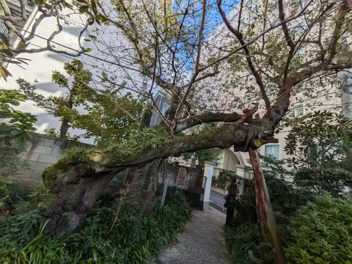 金竜寺(東京都)