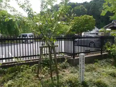 高麗神社の周辺