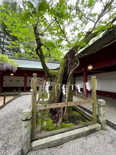 笠間稲荷神社(茨城県)