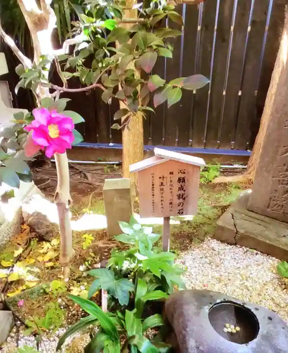 陽運寺(東京都)