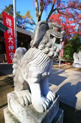 櫻岡大神宮の狛犬