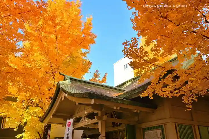 銀杏岡八幡神社(東京都)