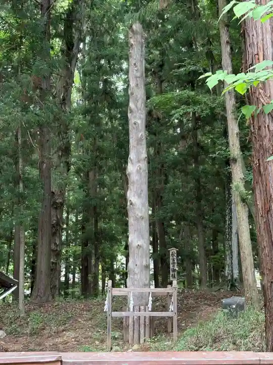 諏訪大社下社秋宮(長野県)