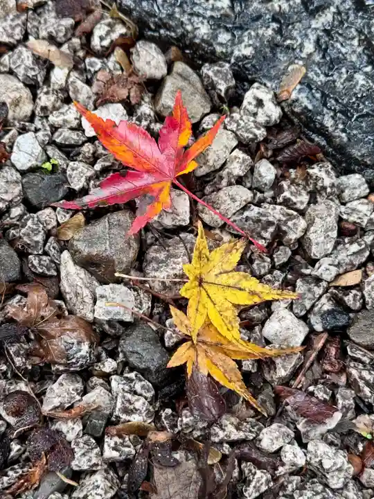 斎明神社(京都府)