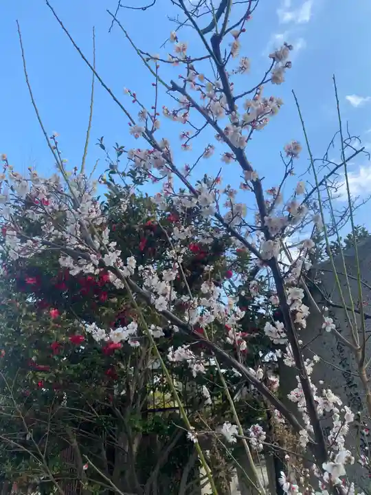 阿部野神社の自然