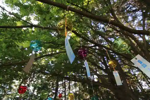 滑川神社 - 仕事と子どもの守り神の庭園