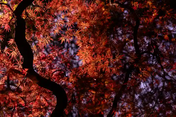 諏訪大社下社秋宮(長野県)