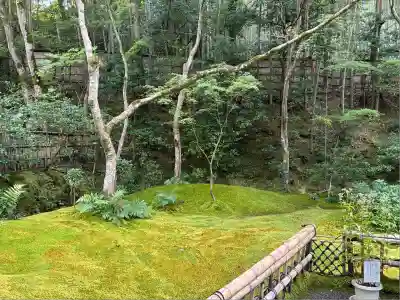 祇王寺(京都府)