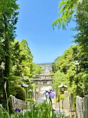 宮地嶽神社の{uncategorized: "未分類", other: "その他", undefined: "問題あり", building: "その他建物", grave: "お墓", sacred_gate: "鳥居", guardian: "狛犬", statue: "像", buddha: "仏像", history: "歴史", nature: "自然", garden: "庭園", animal: "動物", pagoda: "塔", temizu: "手水舎", mountain_gate: "山門・神門", sanctuary: "本殿・本堂", subordinate: "末社・摂社", art: "芸術", scenery: "景色", jizo: "地蔵", ema: "絵馬", goshuin: "御朱印", omikuji: "おみくじ", items: "授与品その他", amulet: "お守り", goshuincho: "御朱印帳", eats: "食事", festival: "お祭り", votive_dance: "神楽", shichigosan: "七五三参", wedding: "結婚式", experience: "体験その他", initially: "初詣", around: "周辺", anti_infection: "感染症対策"}
