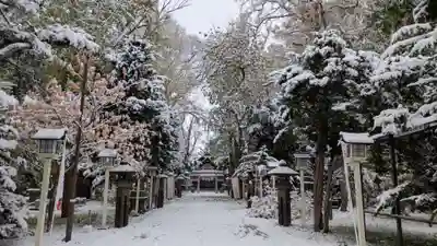 新琴似神社(北海道)
