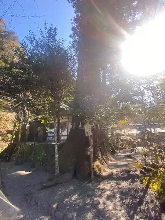 丹生川上神社(中社)(奈良県)