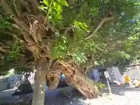 龍王神社(和歌山県)