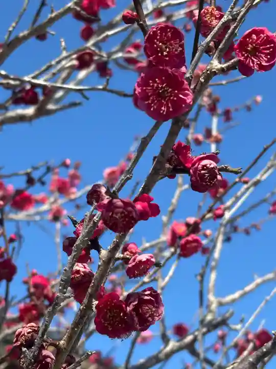 綱敷天満宮の{uncategorized: "未分類", other: "その他", undefined: "問題あり", building: "その他建物", grave: "お墓", sacred_gate: "鳥居", guardian: "狛犬", statue: "像", buddha: "仏像", history: "歴史", nature: "自然", garden: "庭園", animal: "動物", pagoda: "塔", temizu: "手水舎", mountain_gate: "山門・神門", sanctuary: "本殿・本堂", subordinate: "末社・摂社", art: "芸術", scenery: "景色", jizo: "地蔵", ema: "絵馬", goshuin: "御朱印", omikuji: "おみくじ", items: "授与品その他", amulet: "お守り", goshuincho: "御朱印帳", eats: "食事", festival: "お祭り", votive_dance: "神楽", shichigosan: "七五三参", wedding: "結婚式", experience: "体験その他", initially: "初詣", around: "周辺", anti_infection: "感染症対策"}