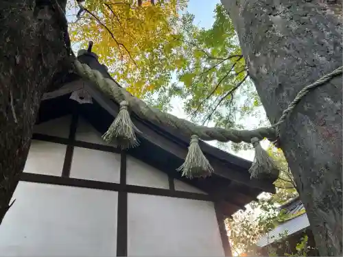 川越氷川神社(埼玉県)